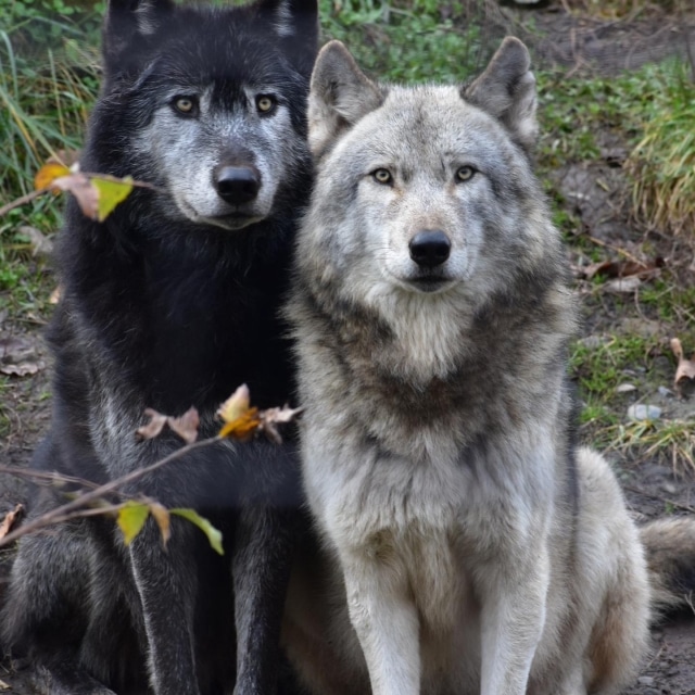 パワースポット