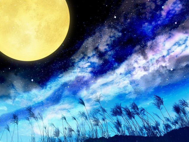 GoldenAnima