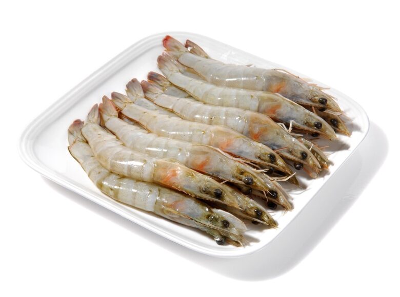トレーに並んだ生の海老