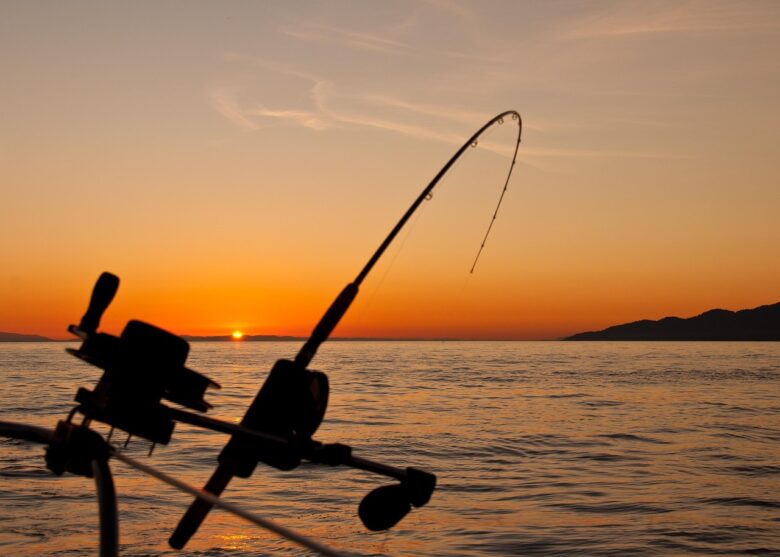 夕暮れの海に向けた釣りざお