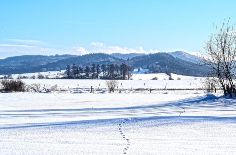足あとが続く一面の雪原